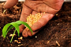 FORUM SULL’AGRICOLTURA