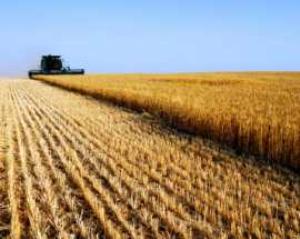 FORUM SULL’AGRICOLTURA